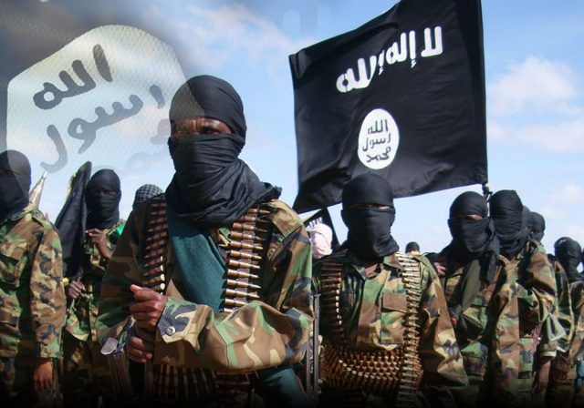 1684Поиск услуг